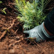 Forschungsprojekt zur Kreislaufwirtschaft gestartet