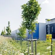 Video Guard: Schnelle Reaktionszeit im Alarmfall 