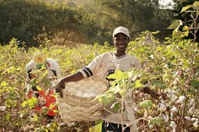 Bierbaum Proenen: Nachhaltige Arbeitskleidung
