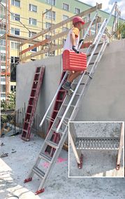 Robusta-Gaukel: Sicherheit auf Schritt und Tritt